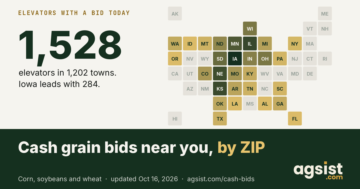Grain Prices at Local Elevators Today: Cash Bids | AGSIST