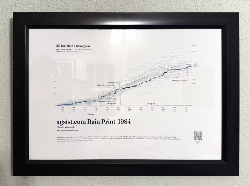 Framed Rain Print of Chetek, Wisconsin, 1984, photographed on a wall: Staircase style, 32.60 in, Birthday Jun 21 marked.